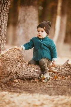 A two-year-old boy in a hat and jacket sits on a log in a Pine forest against Stock Photos