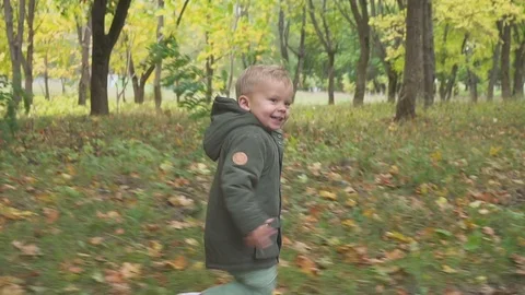 Two year old boy running in the autumn forest, park Stock Footage 95624151