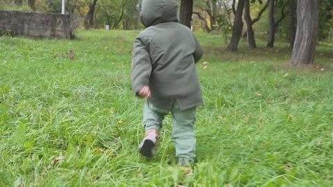 Two year old boy running in the autumn forest, park slow motion Stock Footage 95627271