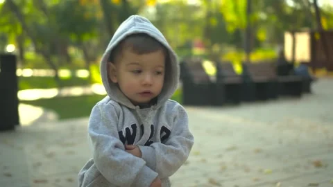 A two-year-old boy stands in the park and looks around. A child in a hoodie Stock Footage 252129228
