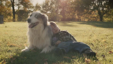 A two-year-old is lying on the lawn next to a large dog. Friendship and Pet Stock Footage 165981121