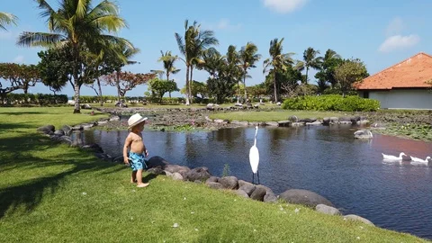  two-year-old tanned boy runs around the lake  Stock Footage 109402037