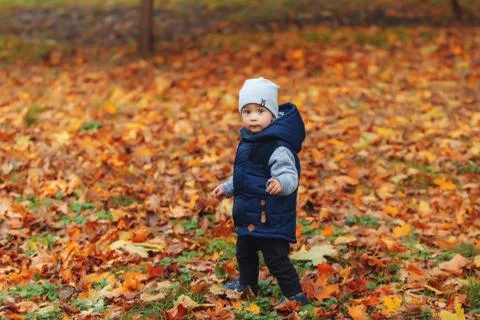 Two years old boy standing in park in beautiful autumnal day Stock Photos