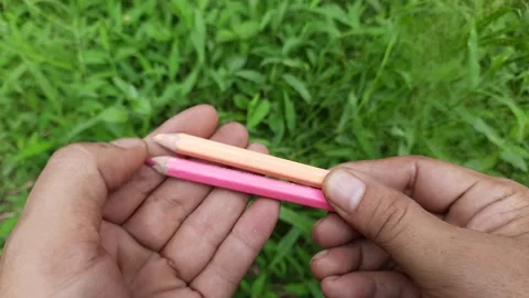 Two yellow and pink crayons are held by a person against a grass background Stock-Footage 295669029