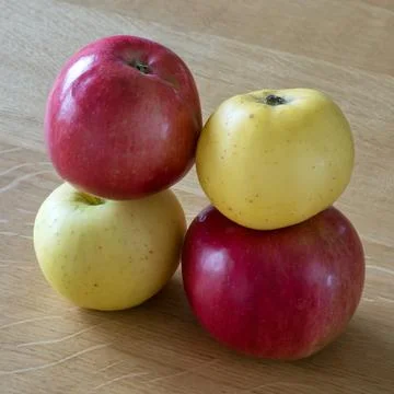 Two yellow and two red apples on a wooden table. Stock Photos