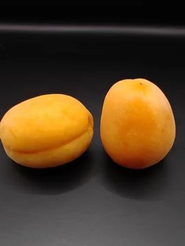Two yellow apricots Stock Photos