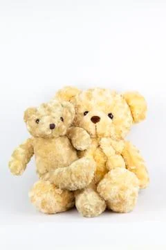 Two yellow bear Stock Photos