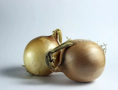 Two yellow bulbs Stock Photos