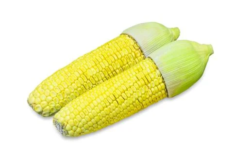 Two yellow corn Stock Photos