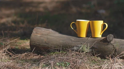 Two yellow cups on the log. Background for web site. Stock Footage 47226615