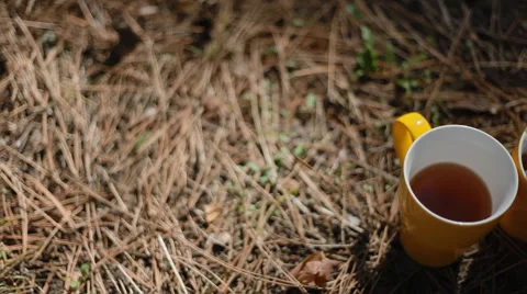 Two yellow cups of tea outdoor Stock Footage 46862002
