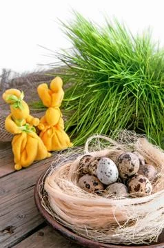 Two yellow Easter Bunny with nest and eggs quail Stock Photos