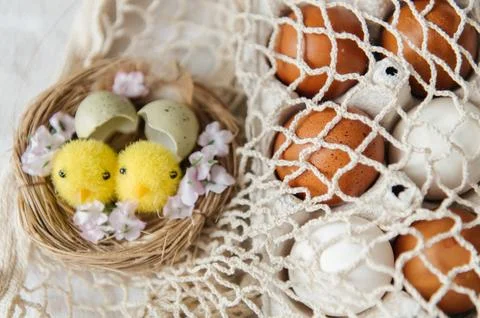 Two yellow Easter chicks in nest on white fabric. Stock Photos