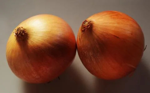 Two yellow onions Stock Photos