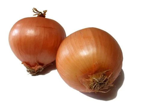 Two yellow onions Stock Photos