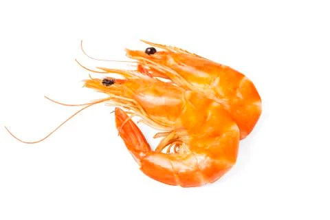 Two yellow prawns Stock Photos