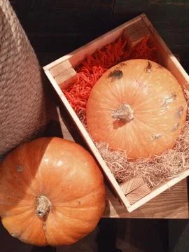 Two yellow pumpkins in box Stock Photos