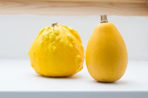 Two yellow pumpkins Stock Photos