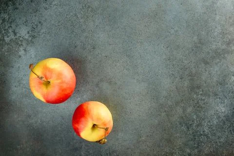 Two yellow-red apples on a gray-blue background. Stock Photos