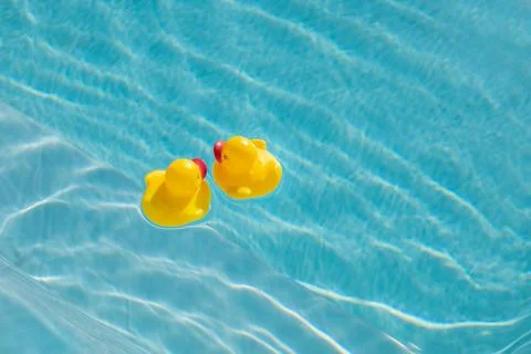 Two yellow rubber ducks in a pool Stock Photos