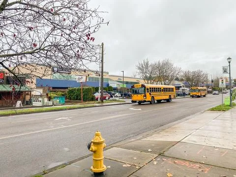 Two yellow school buses driving on a wet suburban street on a cloudy autumn.. Stock Photos