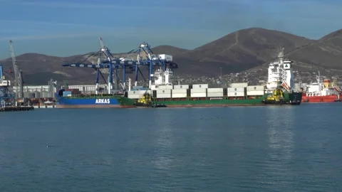 Two yellow tugs are escorting container ship to berth of Commercial Sea Port. Stock Footage 165820218