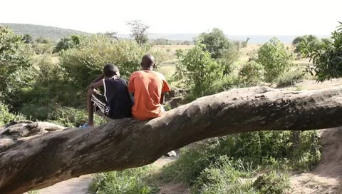 Two young african boys talking while sitting on log over creek in africa Stock Footage 10721532