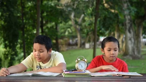 Two young asian boy reading book together at the park Video stock 83470761