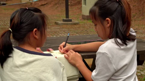 Two young Asian sisters enjoying educational activities in a pine forest Vídeo Stock 333663363