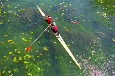 Two young athletes rowing team on green lake Stock Photos