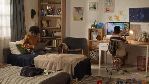 Two Young Black Brothers Using E-Learning Resources for Homeschooling Stock Footage 334973075