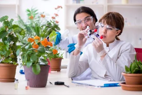 Two young botanist working in the lab Fotos Stock