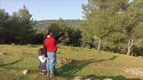 Two Young Boys Exploring Lush Green Forest Landscape at Sunset" Stock Footage 333531036