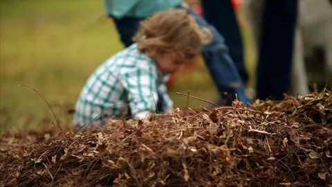 Two young boys playing in a pile of autumn leaves. Vidéo 88406969