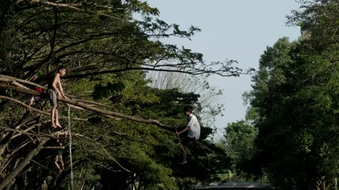 Two young boys playing with tree branch above the river Stock Footage 132449569