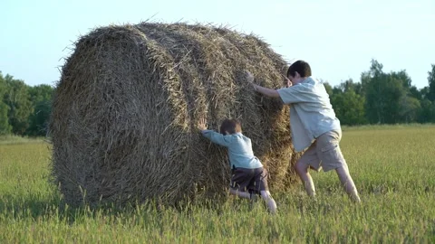 Two young boys push a large hay bale across a sunny green field Video stock 342966444