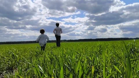 Two young boys running through a field. Children are running around the field Stock Photos