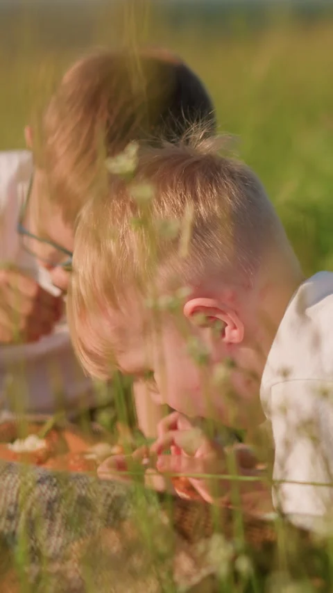 Two Young Boys Sharing Bread on a Picnic Blanket in a Grassy Field Stock Footage 308227777