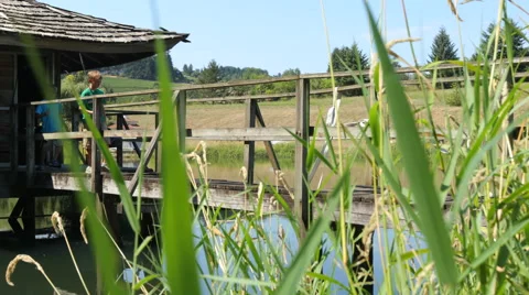 Two young boys walking on dock at lake Stock Footage
