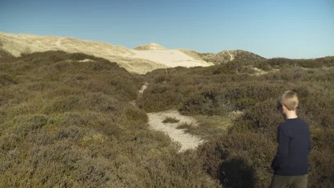 Two young boys walking through beach vegetation Stock Footage 107613447