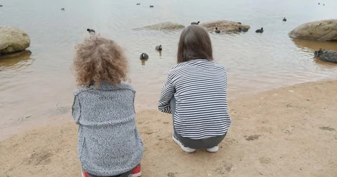 Two young children are squatting and watching black swans and other water birds  Stock-Footage 115969957