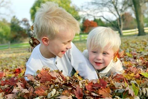 Two young children playing in fall leaf pile Stock Photos