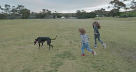 Two young children running with their pet dog, a greyhound, across an open field Stock-Footage 115971561