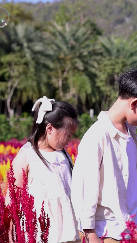 Two Young Children Walking Through a Vibrant Field of Celosia Flowers Vídeo Stock 325290814