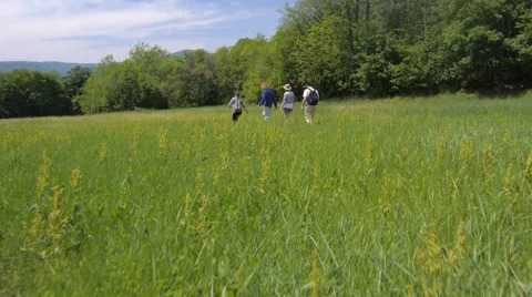 Two young couples walking on green field Видео 56016723