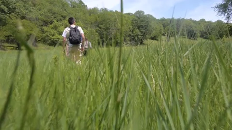 Two young couples walking on green field Stock Footage 56017273