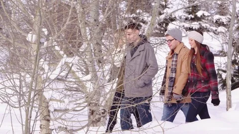 Two young couples walking in the winter landscape Stock-Footage 80128559