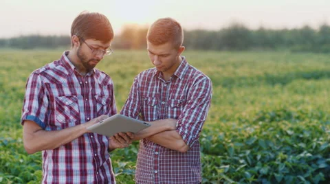 Two young farmer obschayutsya of the work are in the field at sunset. Hold the Stock Footage 65460206