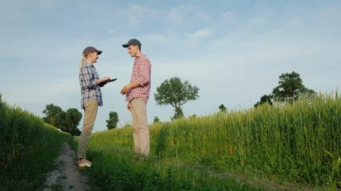 Two young farmers are talking while standing by a field of wheat. Two young Stockbeeldmateriaal 121556557