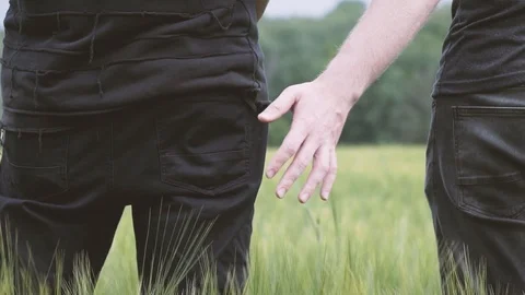 Two young gays walking in the field of green wheat. One gay strikes another o Video stock 92136552